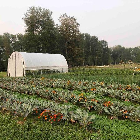 Bodhi Farms Hotell Bozeman Eksteriør bilde