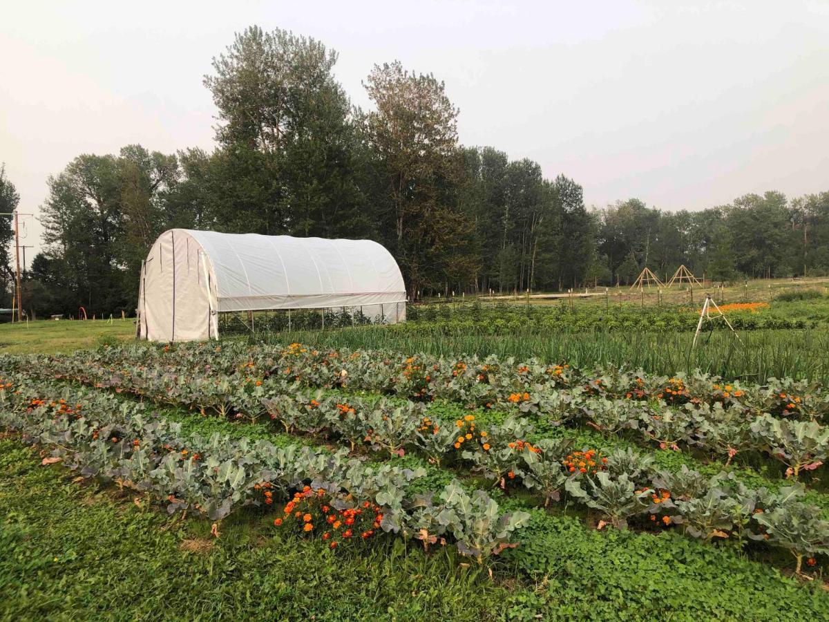 Bodhi Farms Hotell Bozeman Eksteriør bilde